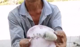 吃瓜爆料大叔是谁啊,网络红人背后的故事